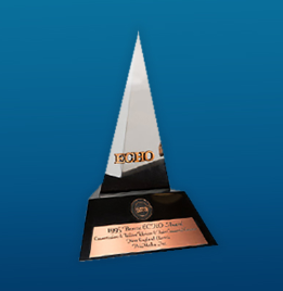 Bronze Echo Award