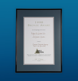 Bronze Nedma Award