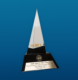 Gold Echo Award